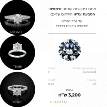 https://www.goldiam.co.il/sites/default/files/%20%D7%99%D7%94%D7%9C%D7%95%D7%9D%20%D7%A2%D7%92%D7%95%D7%9C-GIF.gif